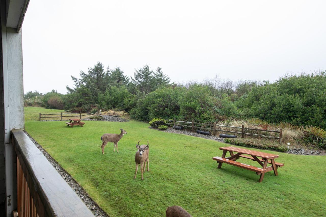 Aurora At Nautilus - Pet Friendly Oceanfront Condo Ocean Shores Extérieur photo