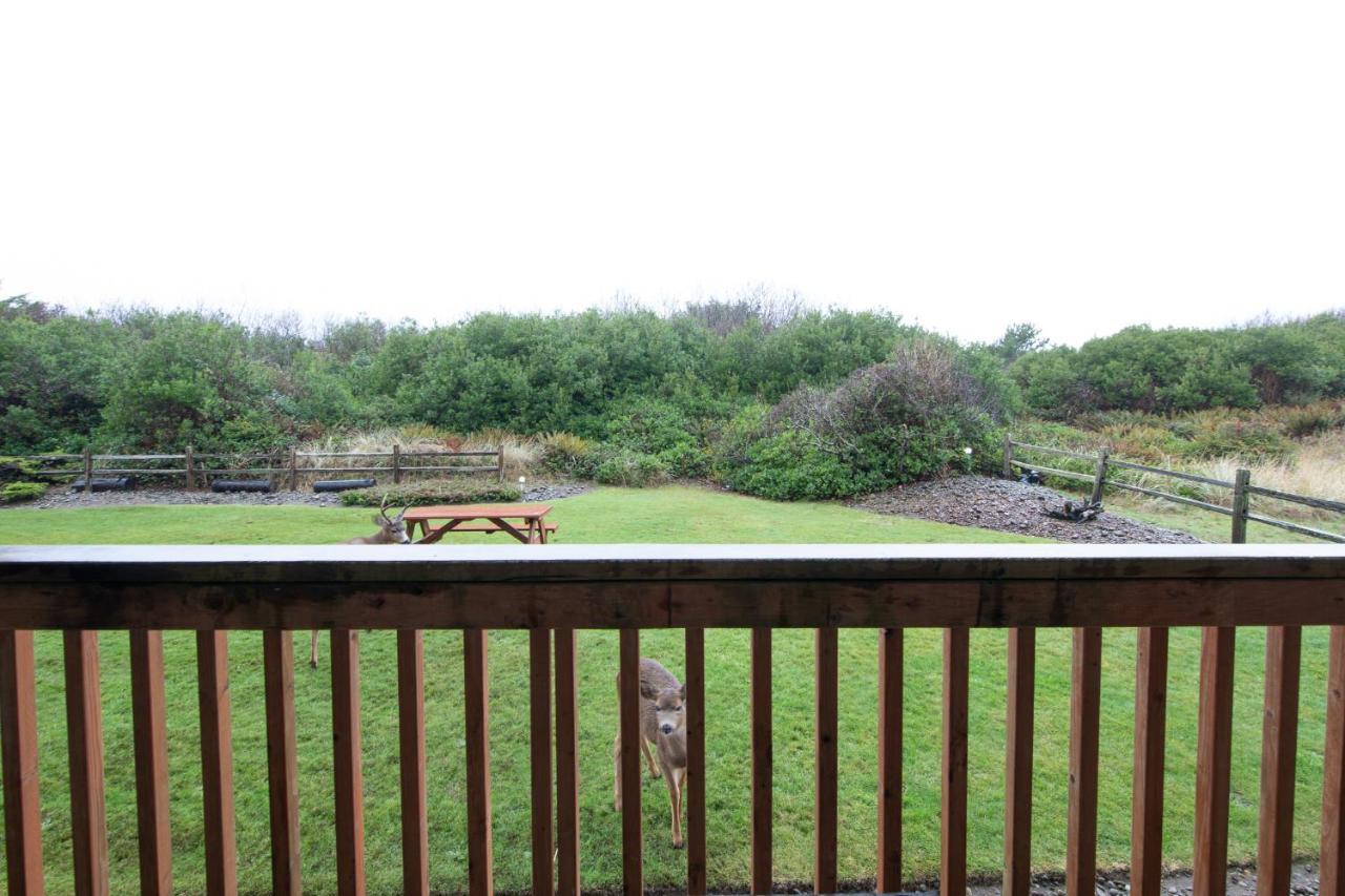 Aurora At Nautilus - Pet Friendly Oceanfront Condo Ocean Shores Extérieur photo
