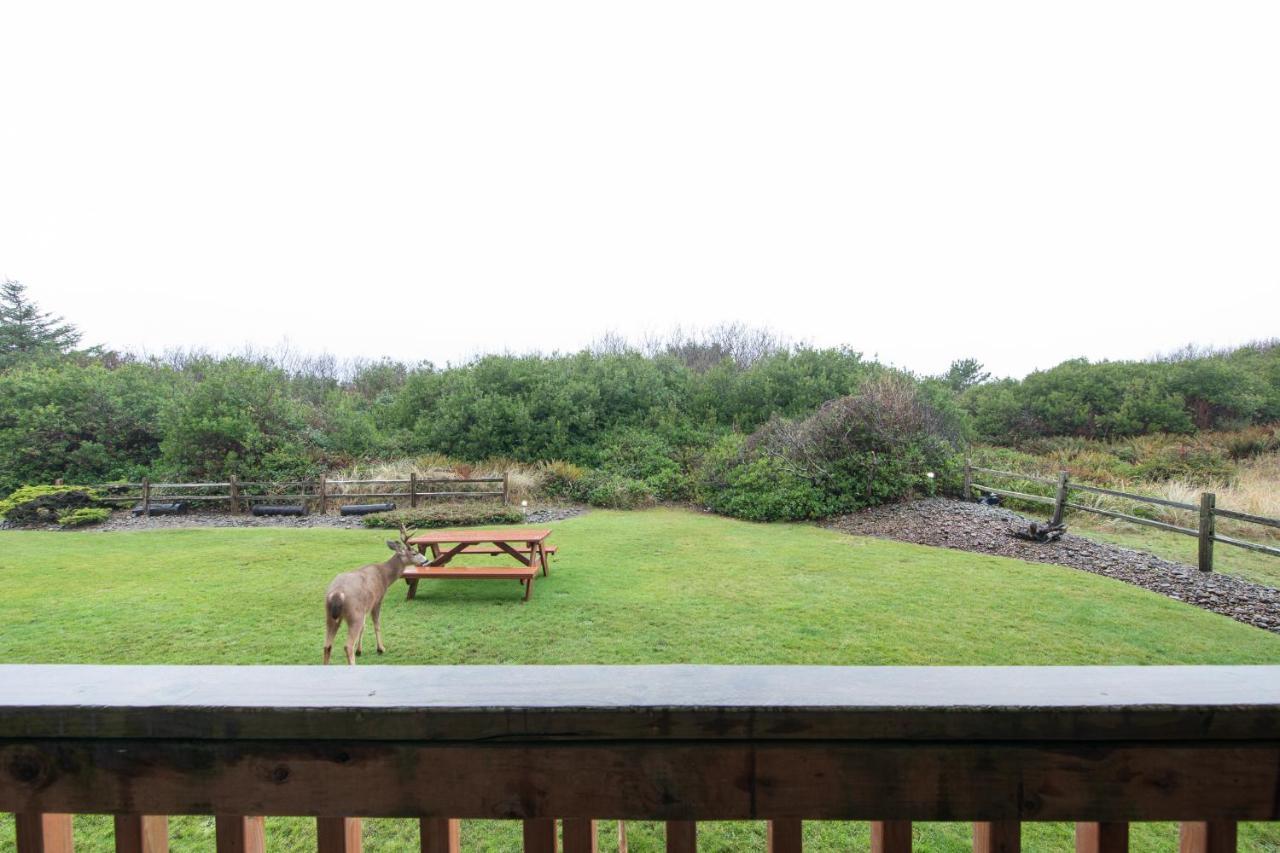 Aurora At Nautilus - Pet Friendly Oceanfront Condo Ocean Shores Extérieur photo